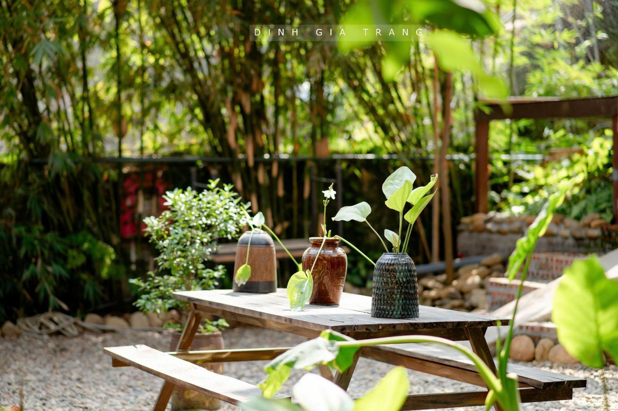 Dinh Gia Trang - Homestay & Coffee The Ruong Εξωτερικό φωτογραφία