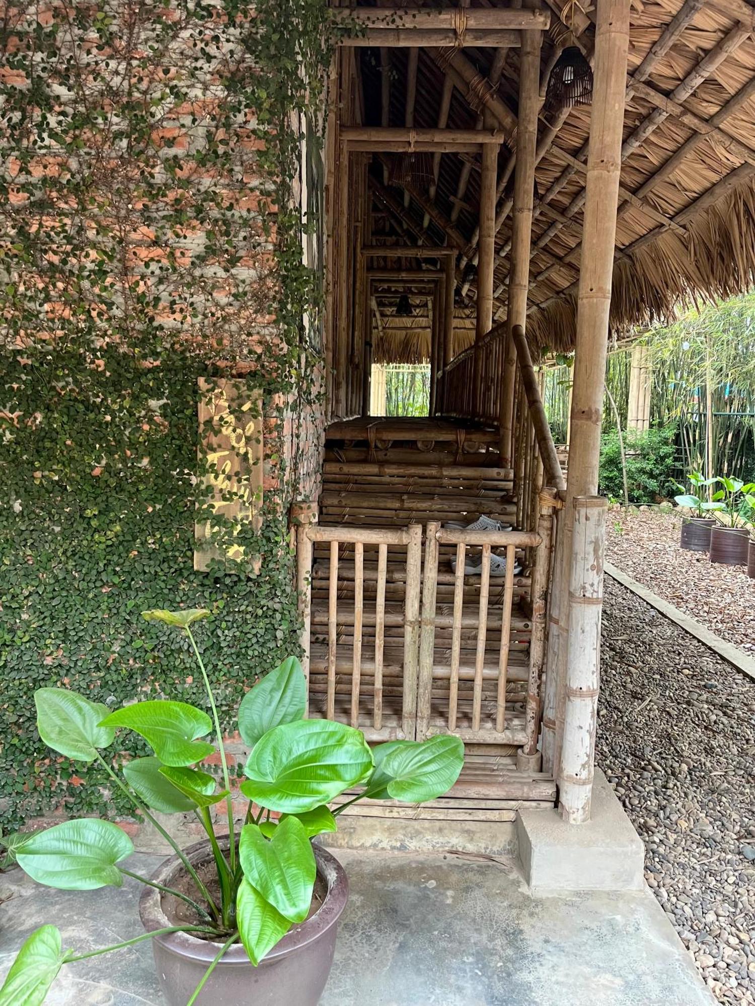 Dinh Gia Trang - Homestay & Coffee The Ruong Εξωτερικό φωτογραφία
